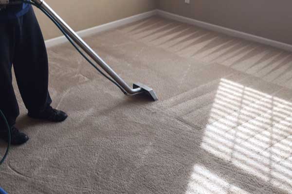 Carpet steam cleaner